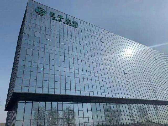 巴西颁发首个海上风能项目初步许可证​